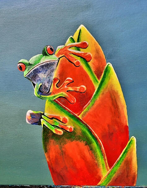 Red Eyed Tree Frog #2