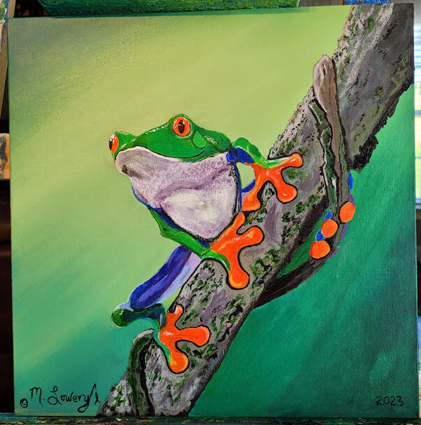 Red Eyed Tree Frog #1