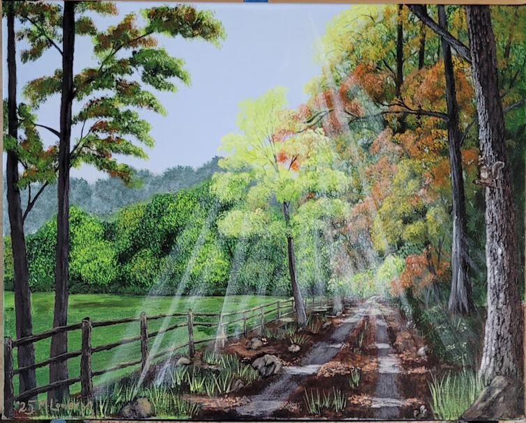 Given to the VA Pain Clinic